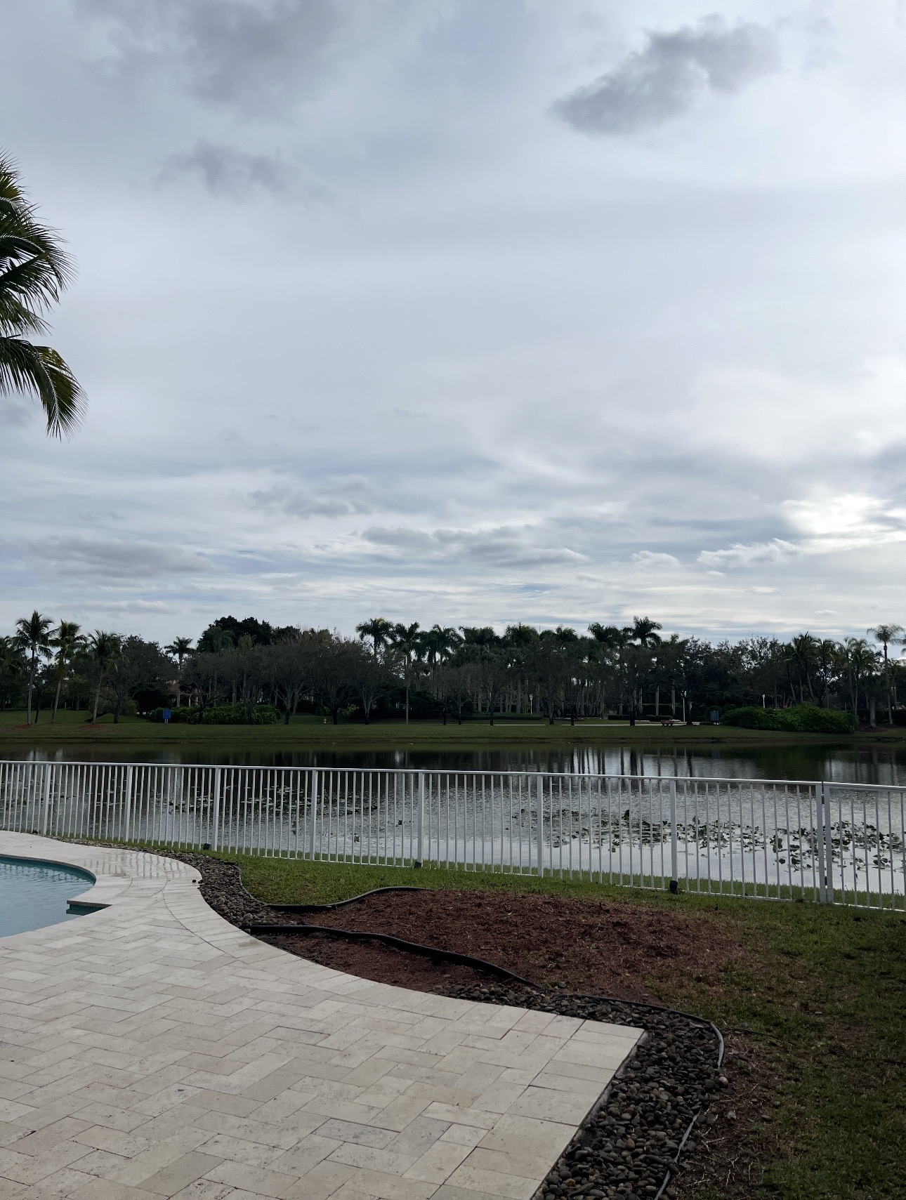 Same pool area fully cleared after the tree was removed