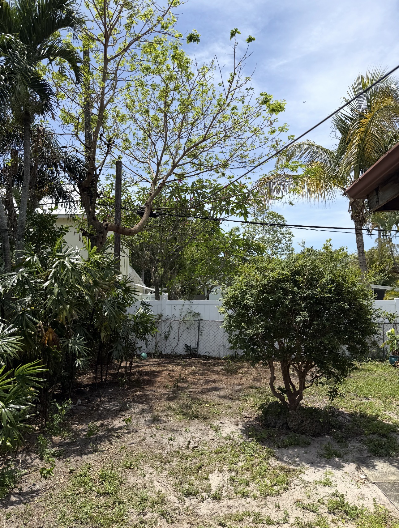 Same property after overgrown trees and vegetation were cut back and cleared