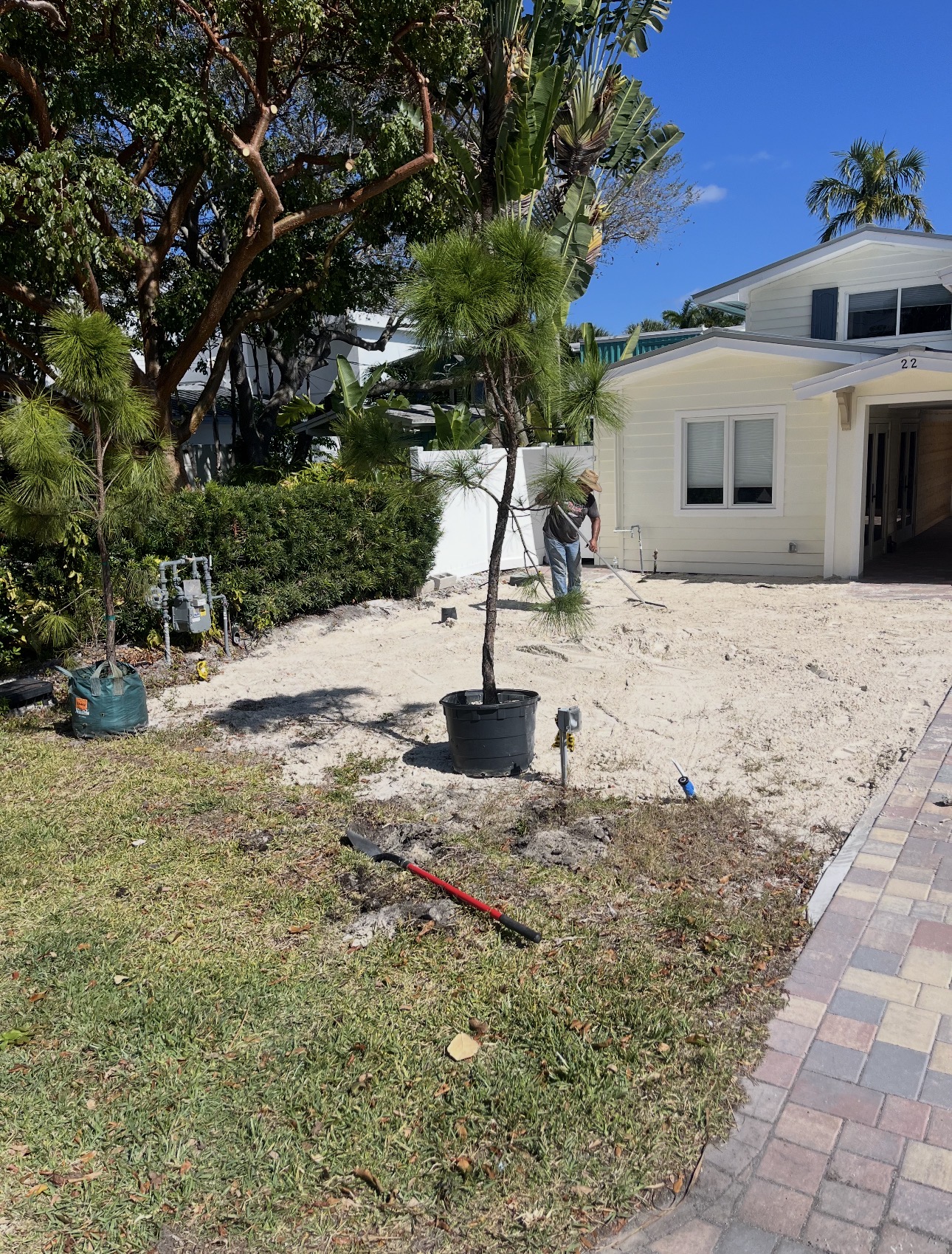 Front yard during landscape installation, with new tree placed and beds being prepared