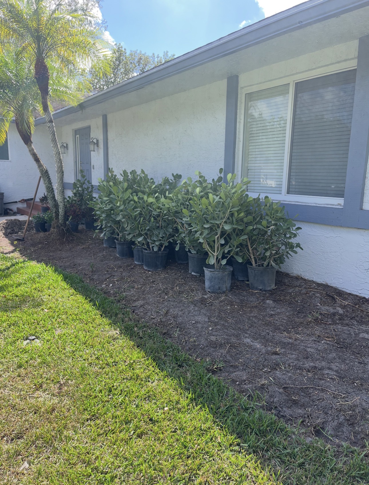 Front yard landscape bed before refresh