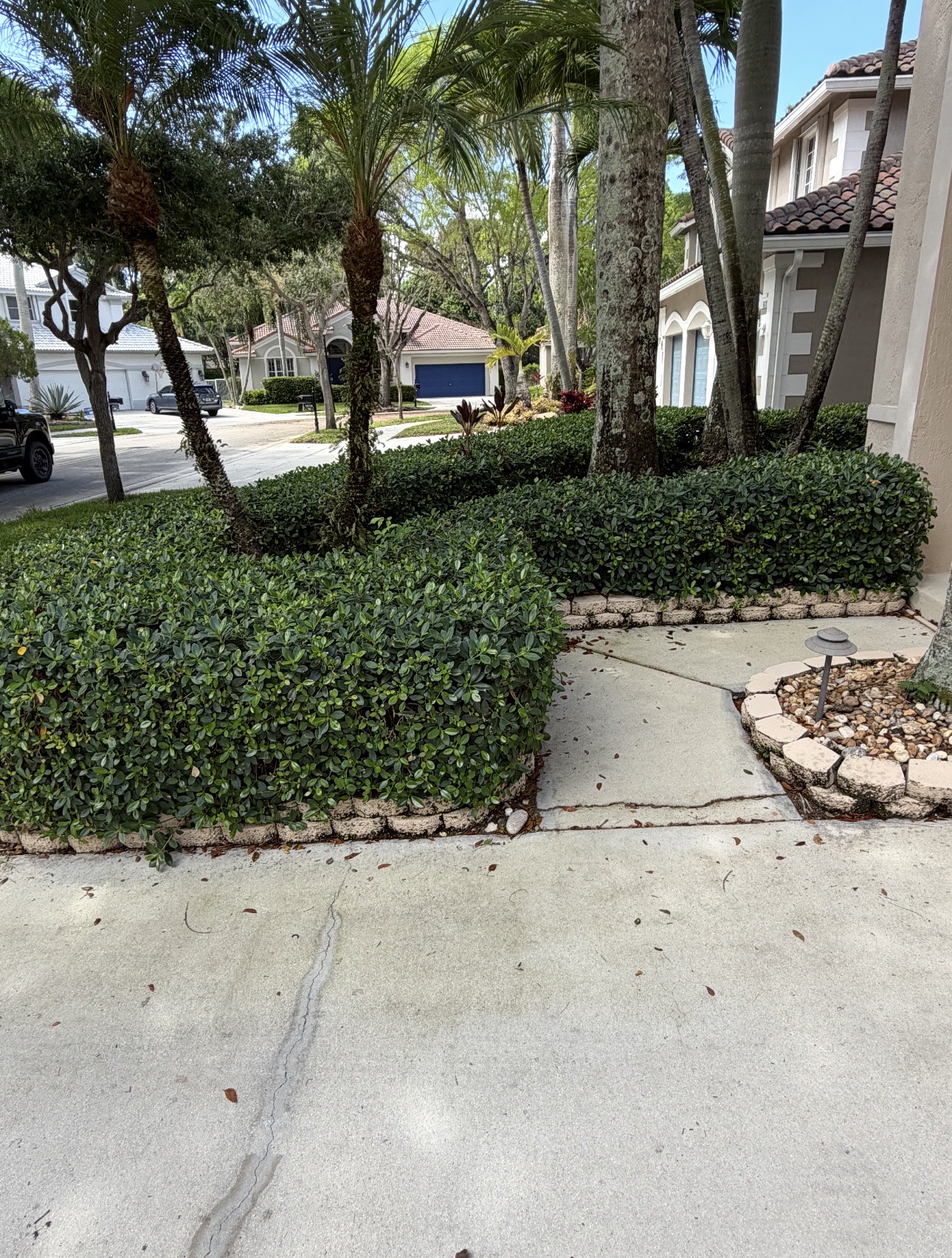 Front entry landscape beds before redesign